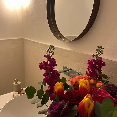 Ficupalas Apartment Syracuse