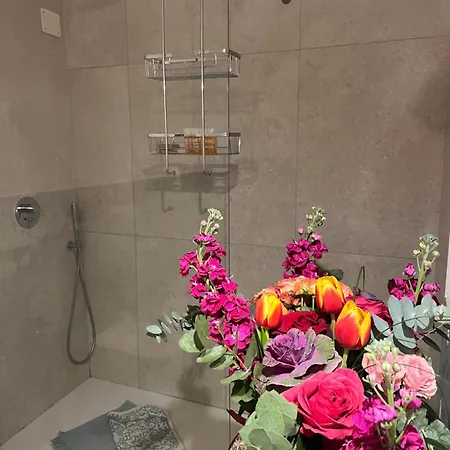Ficupalas Apartment Syracuse
