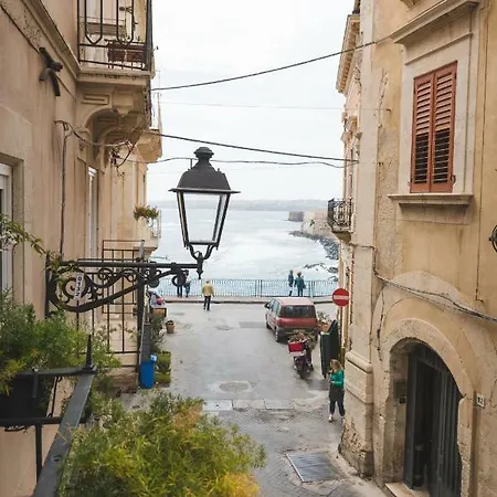 Ficupalas * Syracuse